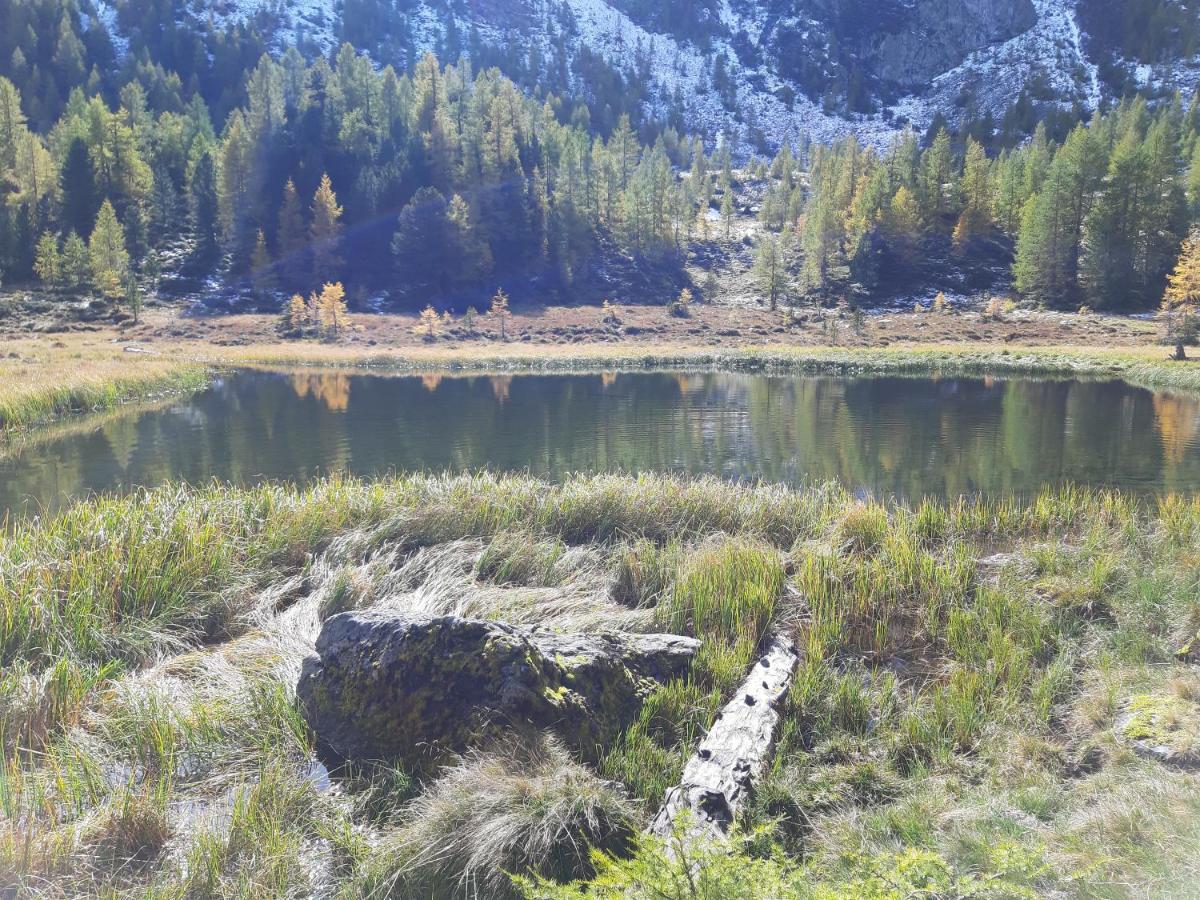 Almhaus Kaernten Flattnitz מראה חיצוני תמונה
